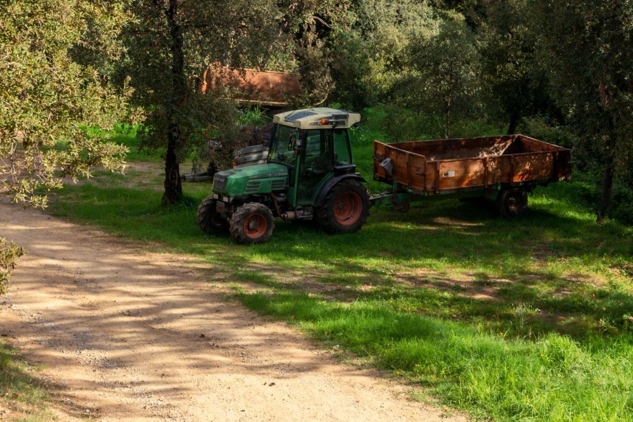 Finca Bell-Lloc Palamós Extérieur photo